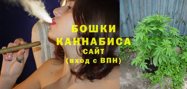 гашик Мегион