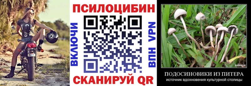 закладки ссылка на мегу ссылки Псилоцибиновые грибы мухоморы Нестеровская